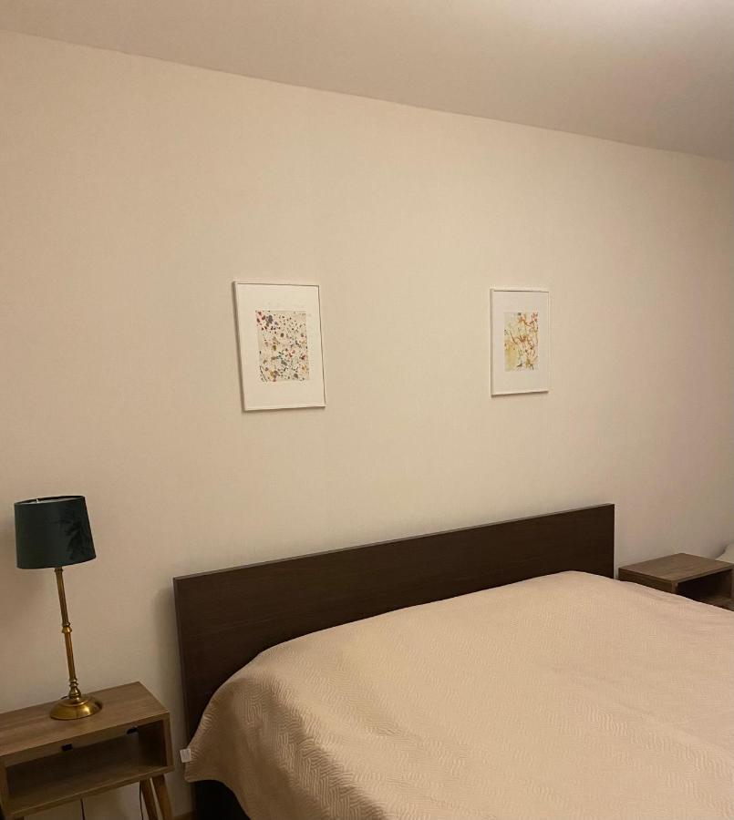 Bakuriani Cozy Villa #4 מראה חיצוני תמונה